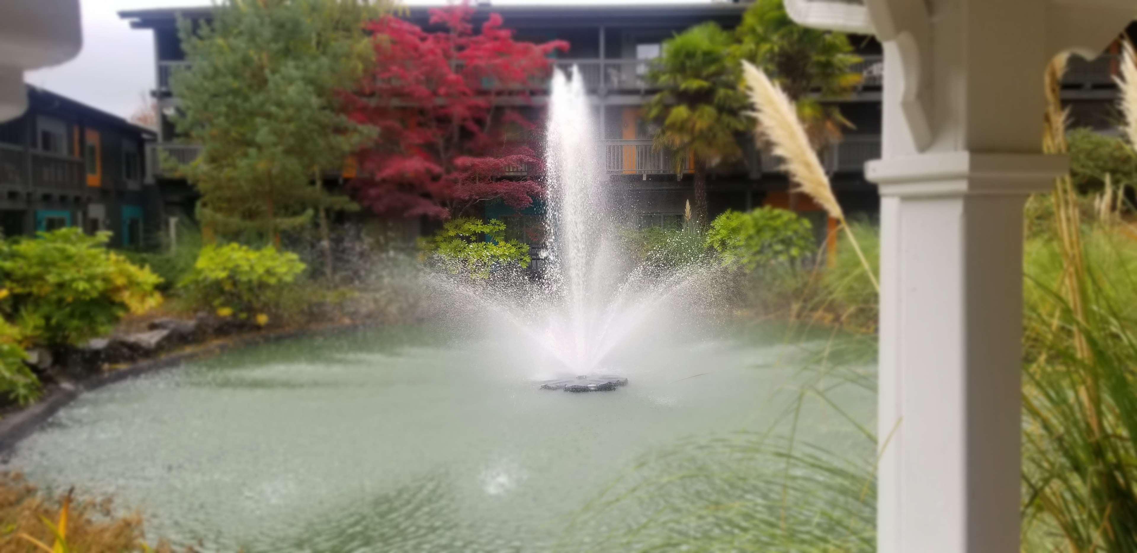 Best Western Portland West Beaverton Екстериор снимка