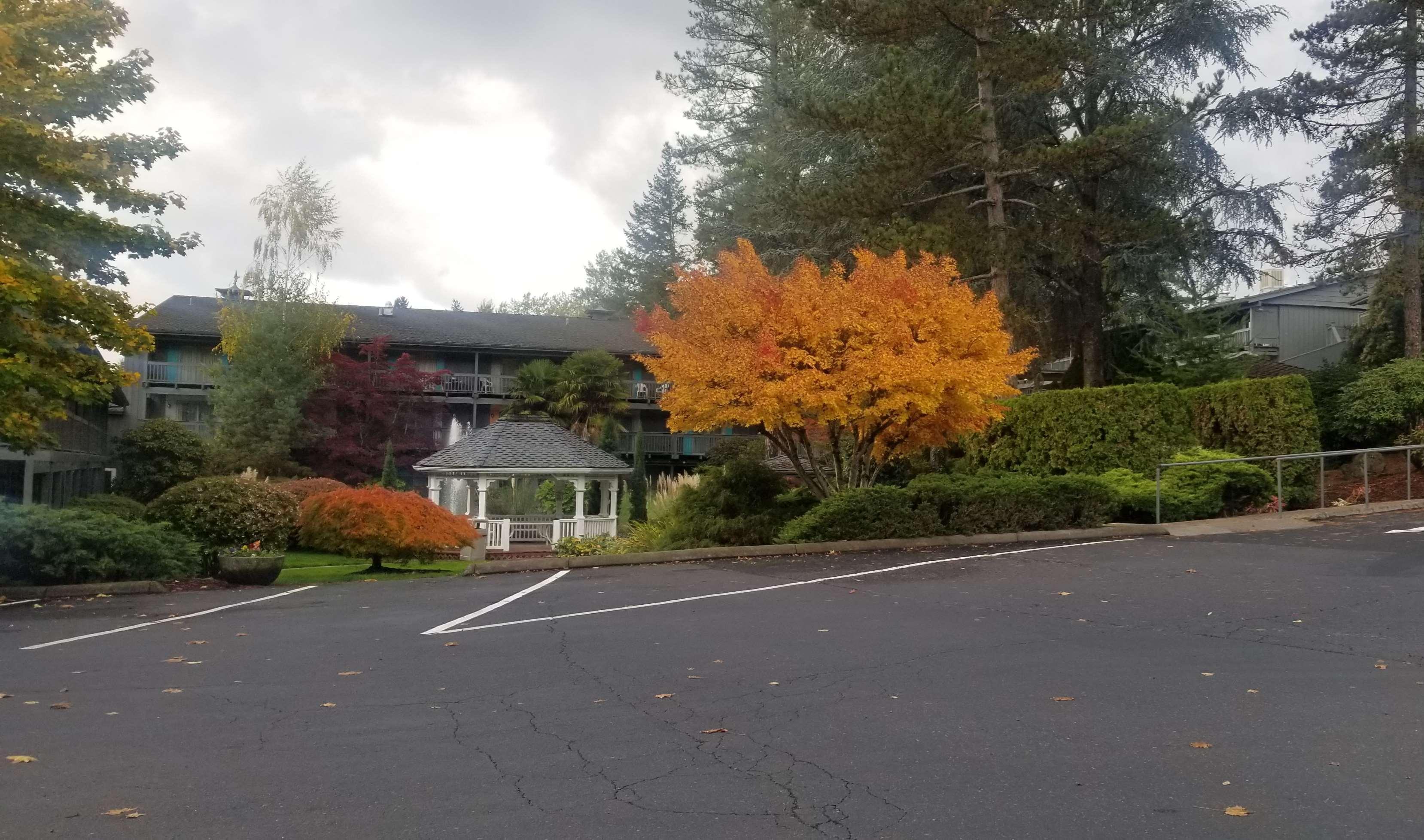 Best Western Portland West Beaverton Екстериор снимка