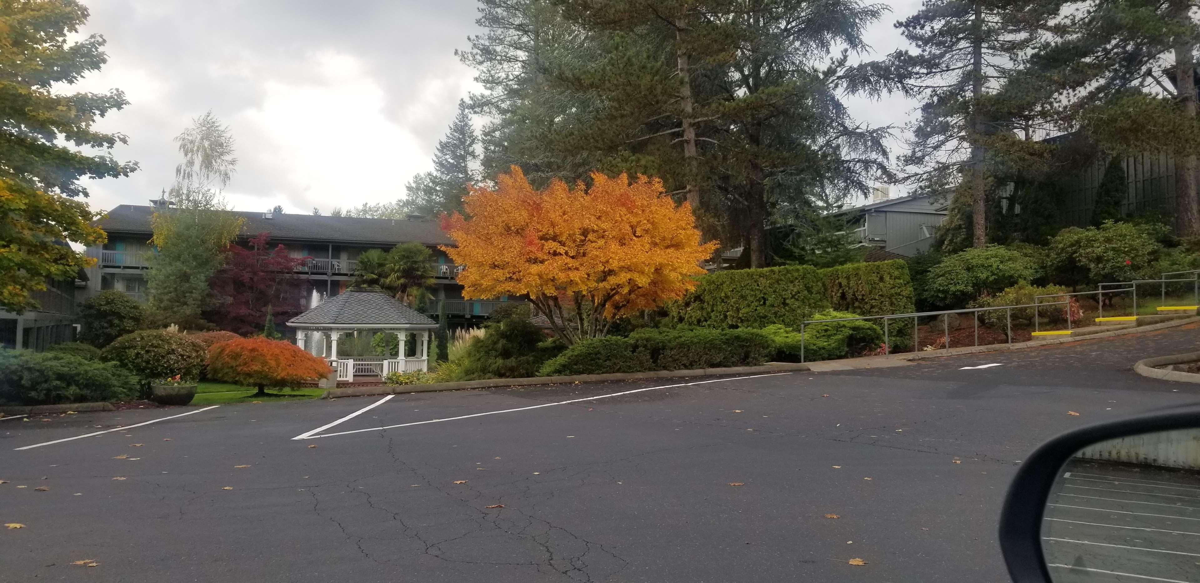 Best Western Portland West Beaverton Екстериор снимка